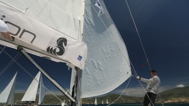 Los marineros participan en regata de vela — Vídeo de stock