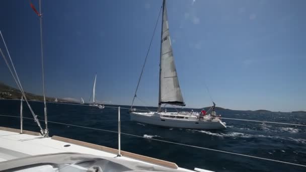 Les marins participent à la régate de voile — Video