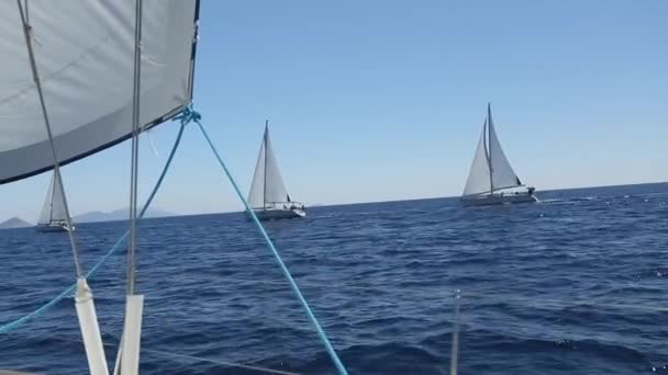 Zeilregatta op de Egeïsche zee — Stockvideo