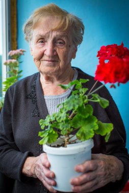 Pot çiçek tutan yaşlı kadın