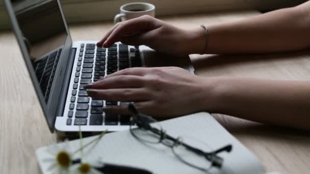 Las manos femeninas escribiendo en el teclado del ordenador portátil — Vídeos de Stock