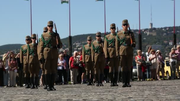 Changing of the Guards by the Hungarian Presidential Palace — Stock Video