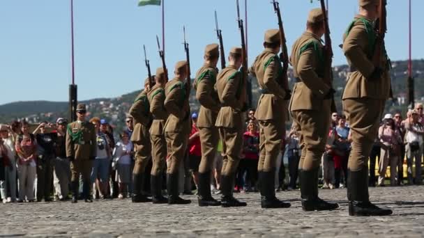 Changing of the Guards by the Hungarian Presidential Palace — Stock Video