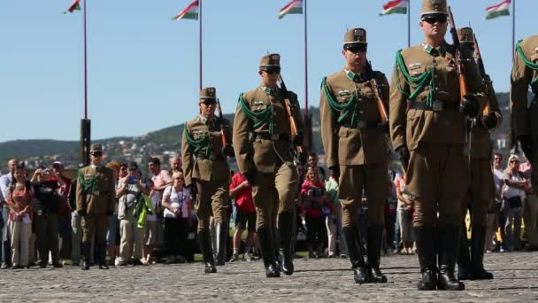 Changing of the Guards by the Hungarian Presidential Palace — Stock Video