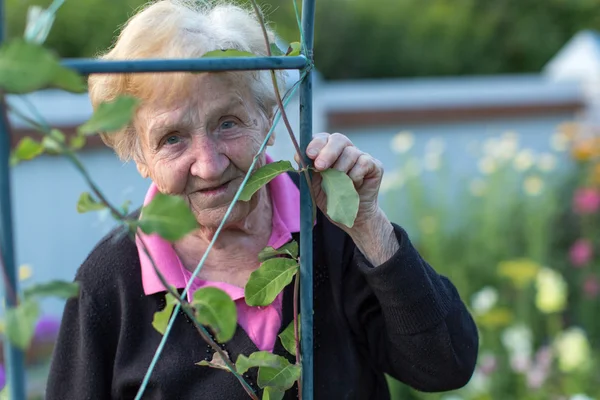 Yaşlı bir kadın bahçede — Stok fotoğraf