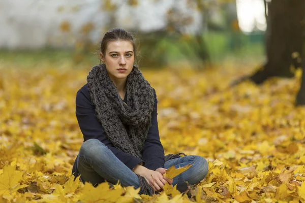 Chica en el parque de otoño. —  Fotos de Stock