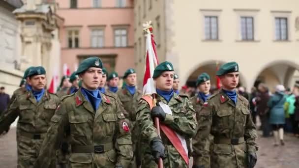 Національний день незалежності ан Республіки Польща — стокове відео