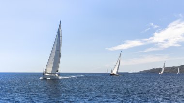 Sailing regatta at the Aegean Sea