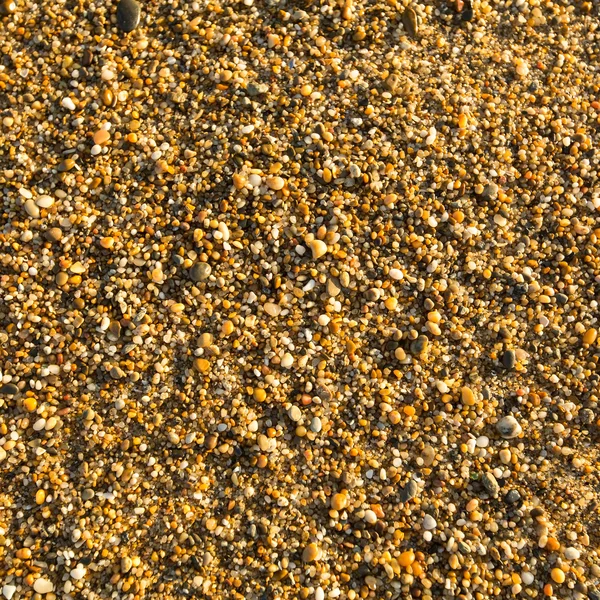 Каменистые камни на пляже — стоковое фото