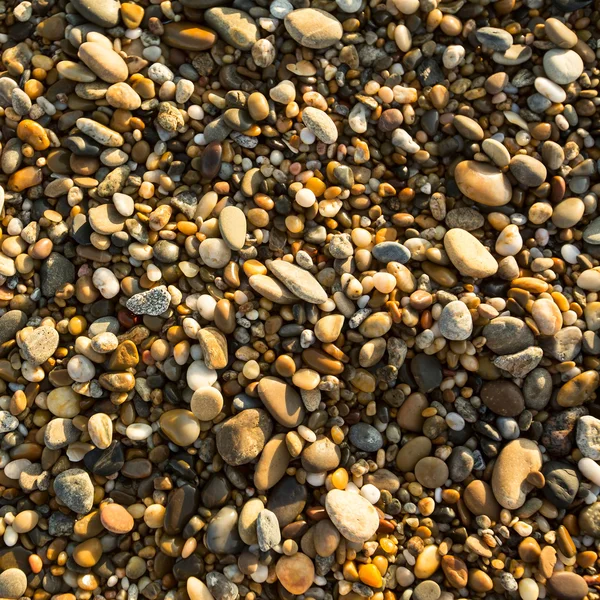 Kamienie morze plaża żwirkowa — Zdjęcie stockowe