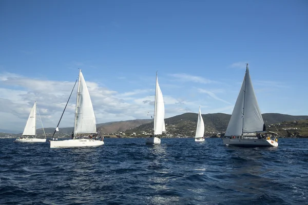 Sailboats participate in sailing regatta — Stock Photo, Image