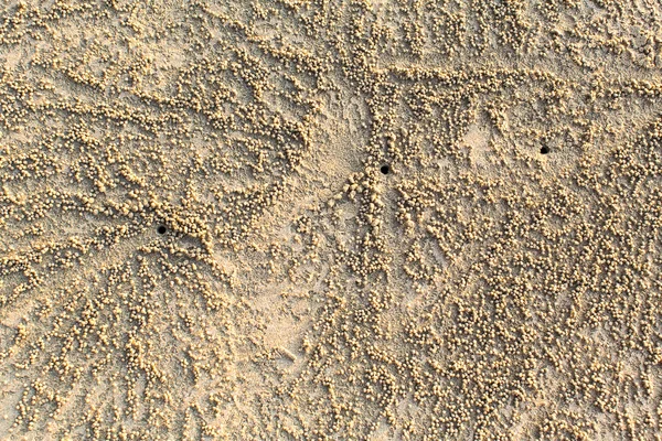 Textur des Sandstrandes — Stockfoto