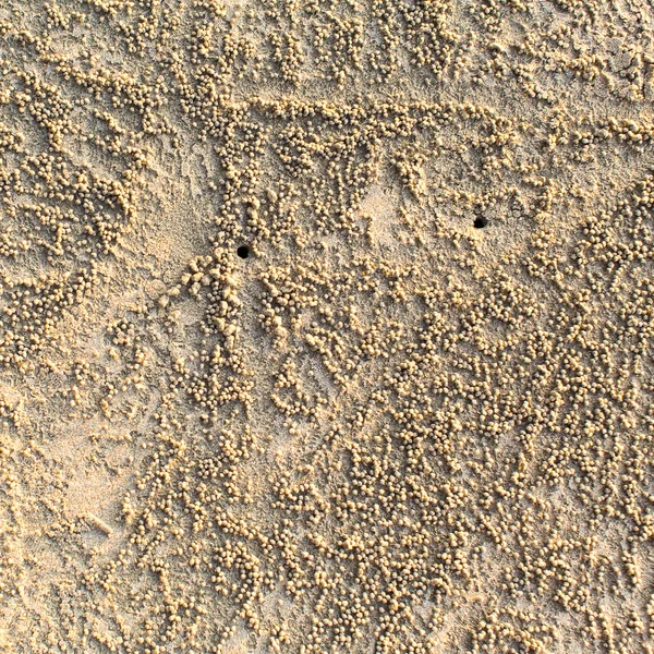 Текстура песчаного пляжа — стоковое фото