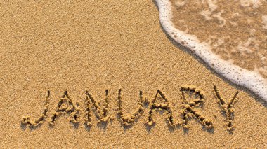 Yazıt, yumuşak dalgalı yumuşak bir kumsalda Ocak ayında