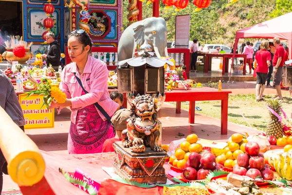 Feier des chinesischen Neujahrs — Stockfoto