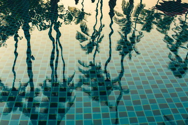Palmeiras refletidas na água — Fotografia de Stock