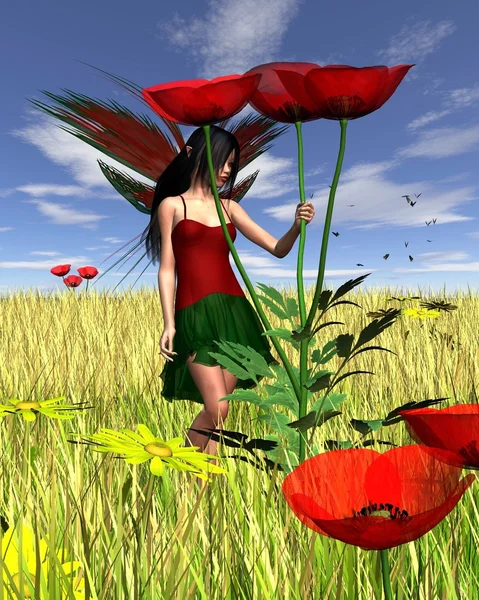 Röd vallmo Fairy med majsfält bakgrund — Stockfoto