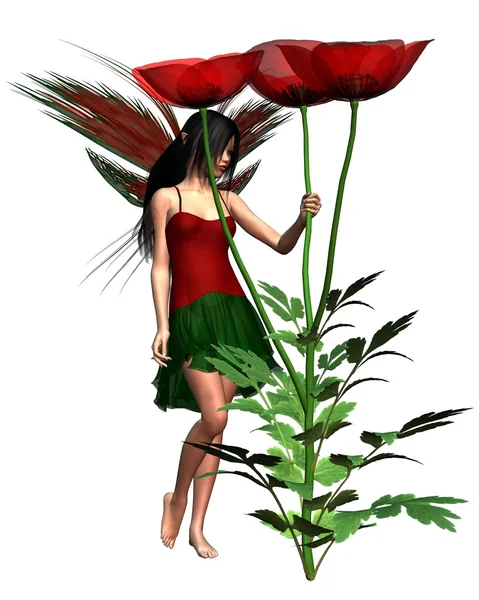 Red Poppy Fairy — Stock Photo, Image