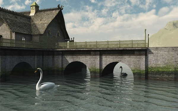 Cisnes junto al puente — Foto de Stock