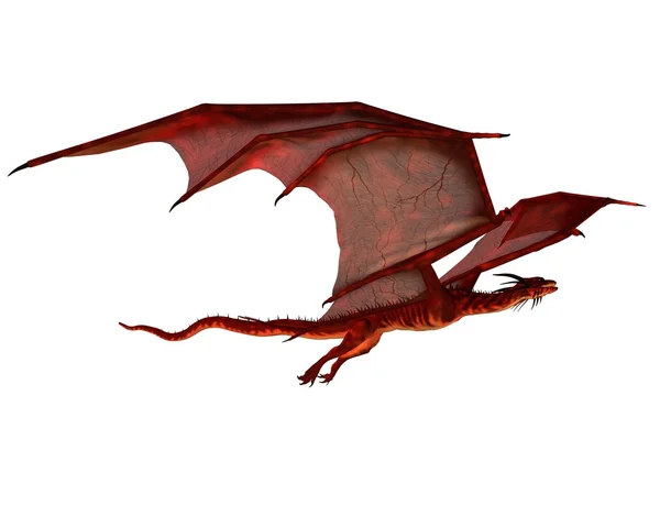 Dragão Vermelho Voando — Fotografia de Stock