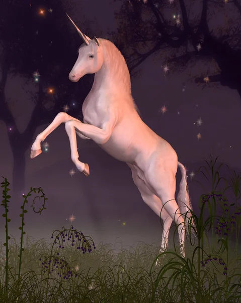 Licorne dans une lade de forêt éclairée par la lune — Photo