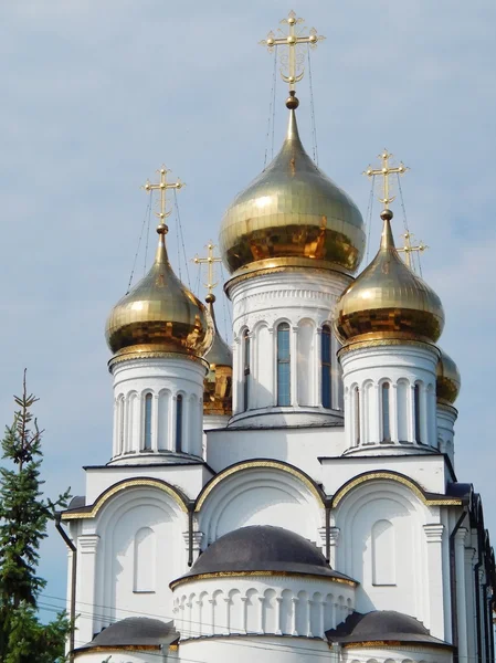 Złote kopuły klasztoru św Mikołaja (XIV w.) w Peresław Zaleski w Rosji. — Zdjęcie stockowe