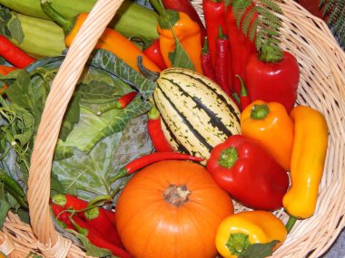 sebze sepeti. sonbaharda hasat. 21-st Uluslararası Festivali 