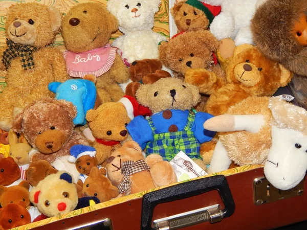 Moskou internationale tentoonstelling van collectible draagt "Hallo Teddy". December, 2014. — Stockfoto