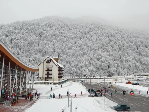 Tren istasyonu Rosa Khutor, Krasnaya Polyana, Sochi, Rusya Federasyonu. Ocak, 2015.