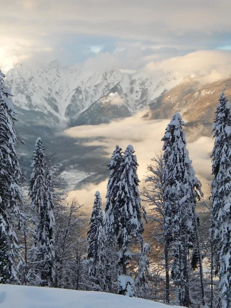 Spor ve turizm kompleksi 