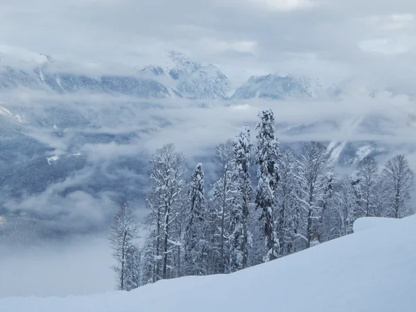 Estación de esquí "Gornaya karusel" ("Carrusel de montaña"), 1500 metros, Krasnaya Polyana, Sochi, Rusia. enero, 2015 .. —  Fotos de Stock