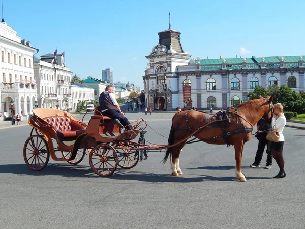 Извозчик и туристы ласкают лошадь. На площади Казани в республике Татарстан в России . — стоковое фото