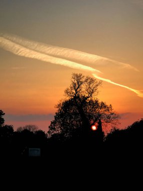Güneş behinda ağacı batıyor ve bir tutam c aydınlatma; yüksek sesle