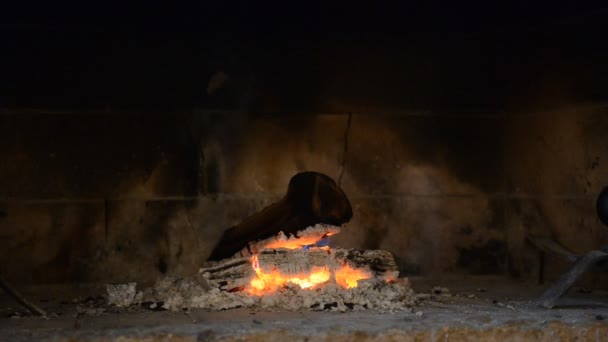 Płonące drewno w kominku — Wideo stockowe