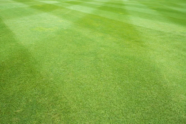 Gräset på sport fältet — Stockfoto