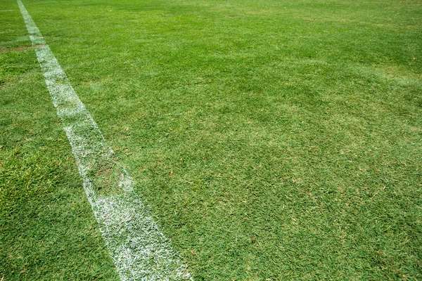 Campo de futebol com faixa branca — Fotografia de Stock