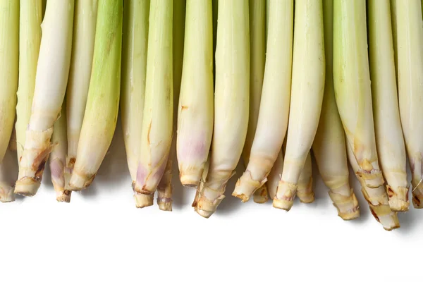 lemon grass on white background