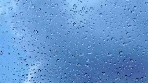 Rain drop on glass — Stock Video