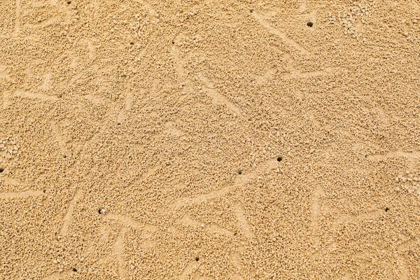 Agujeros de cangrejos en la playa — Foto de Stock