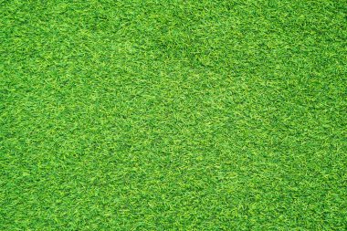 yeşil çim dokusu
