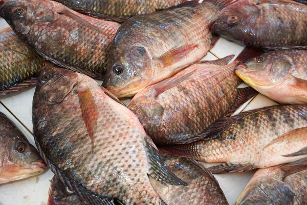 Tilapia balıklar içinde belgili tanımlık çarşı — Stok fotoğraf