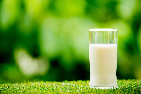 Milk glass on grass — Stock Photo, Image