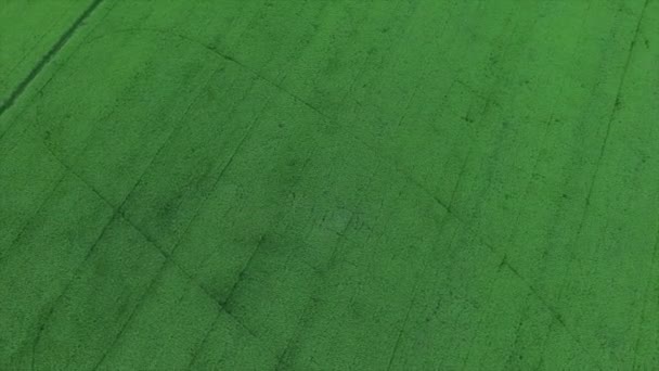 mouvement aérien des jeunes rizières 