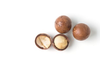 Beyaz arka planda Macadamia fındıkları