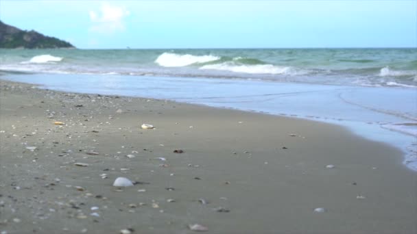 Praia com concha — Vídeo de Stock