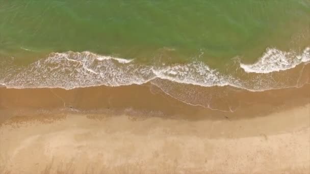 Aerial video of beach at summer — Stock Video