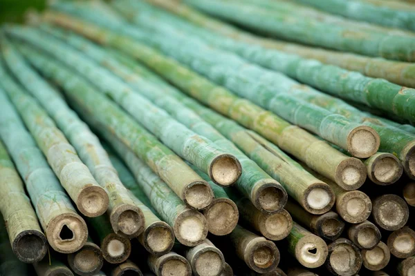 Bambu materiella stack — Stockfoto