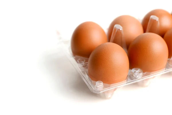 Eier in Verpackung — Stockfoto