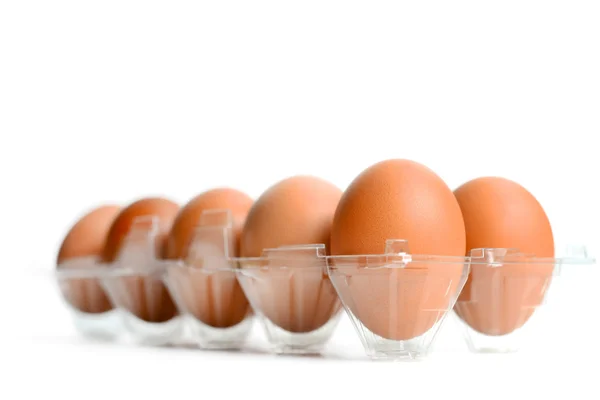 Eier in Verpackung — Stockfoto