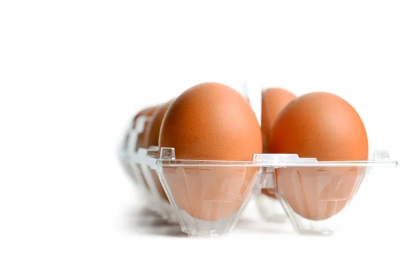 Eier in Verpackung — Stockfoto